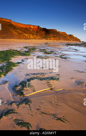 A view of the Naze on the Essex Coast Stock Photo