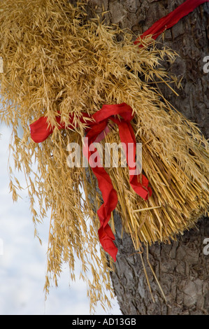 Traditional Christmas decorations made of straw bundles, tied to a tree in the garden of an Oslo home, Norway Stock Photo