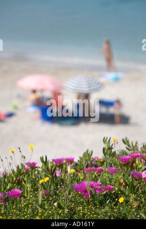 Coastal Scene, Capo San Marco, Sardinia, Italy Stock Photo