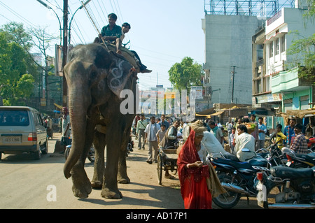 Horizontal wide angle of a typical Indian streetscene with a painted elephant walking along the road Stock Photo