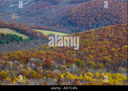 USA-Pennsylvania-Shellsburg: View of the Allegheny Mountains from Mt. Ararat, Pennsylvania, USA Stock Photo