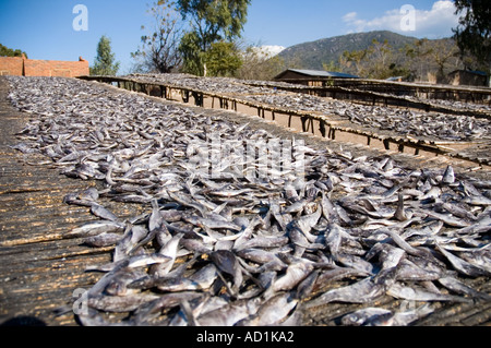 Small Fish Drying Rack