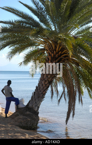 Young man leaning against palm tree on sandy shore of Lake Malawi Stock Photo