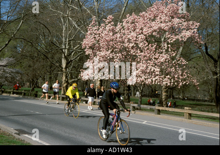 People biking and jogging in Central Park, New York City Manhattan Stock Photo