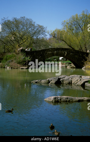 ducks near the pond in central park of Athens Stock Photo - Alamy