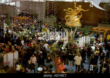 Orchid Show Rockefeller Center New York City Stock Photo - Alamy