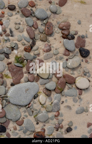 Stones on the beach Stock Photo