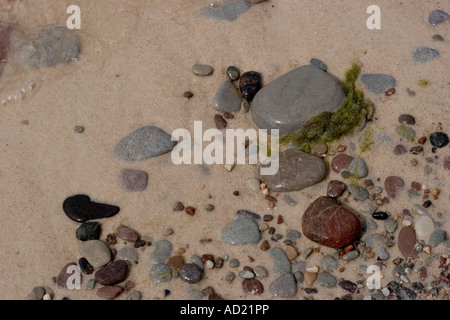 Stones on the beach Stock Photo