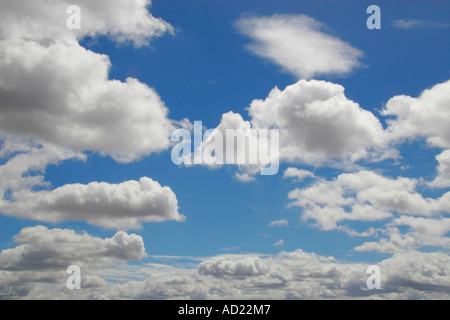 SSK71708 Puffy white clouds against blue sky Stock Photo