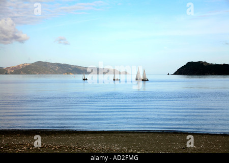 Small sailing boats are becalmed on a windless day at Port Nicholson Wellington New Zealand Stock Photo