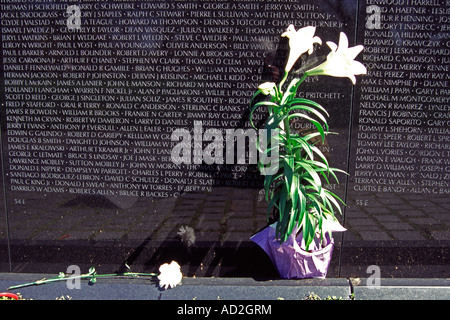 Names on Vietnam Veterans Memorial Wall, Constitution Gardens, National Mall, Washington, DC, USA Stock Photo