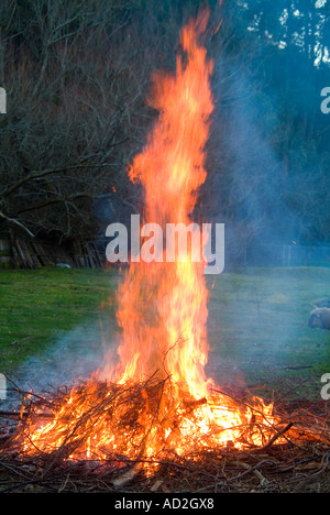 A backyard garden bonfire Stock Photo