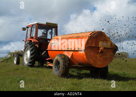 dh Massey Ferguson 240 TRACTOR FARM UK FARMING Pulling dung spreader manure manuring spread on fields muck spreading Stock Photo