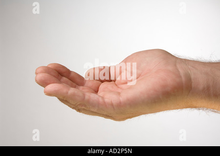 An open  white male hand, possibly asking for something Stock Photo