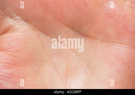 Palm of womans hand close up Stock Photo