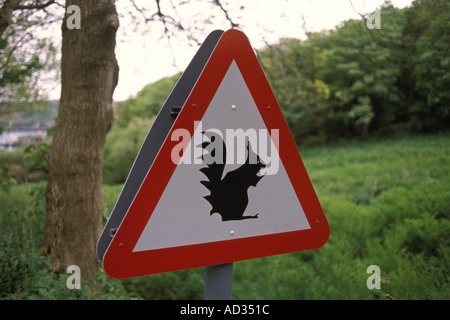 Beware of red squirrels on the road to Rosel Jersey the Channel Islands UK 2000s HOMER SYKES Stock Photo