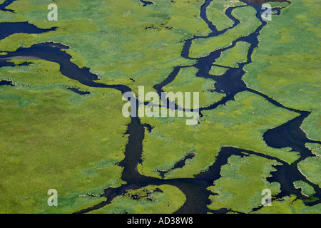 Aerial view of wetlands near Jackson Hole, Wyoming, USA. Stock Photo