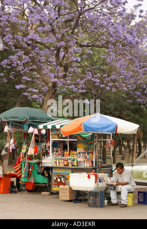 Vendors' carts in Chapultepec Park, Mexico City Stock Photo