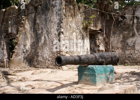 Spanish cannon in front of the the ruined custom house or Casa de Cortes in La Antigua, Veracruz, Mexico Stock Photo