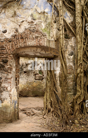 Doorway in the the ruined custom house or Casa de Cortes in La Antigua Veracruz,  Mexico Stock Photo