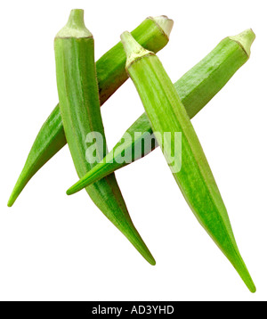 OKRA / LADIES FINGERS Stock Photo