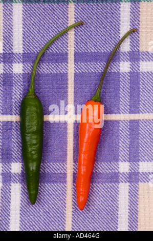 Green and red chilies Stock Photo