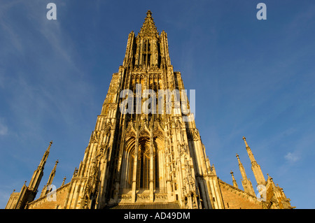 Ulm Muenster (cathedral), Ulm, Baden-Wuerttemberg, Germany Stock Photo