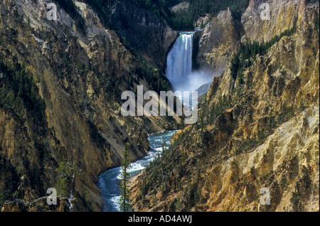 View from Artist Point onto the Lower Falls, Yellowstone NP, Wyoming, United States of America Stock Photo