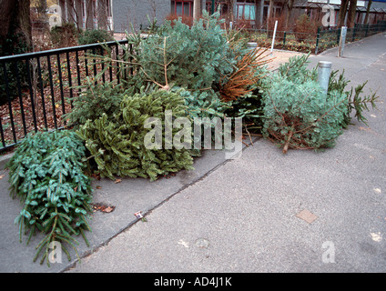 Old Christmas trees abandoned on a sidewalk Stock Photo