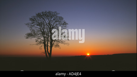 South Downs, Proposed National Park, Amberley, West Sussex, England, UK, GB. Stock Photo