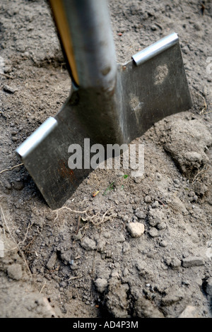 A shovel in dirt Stock Photo