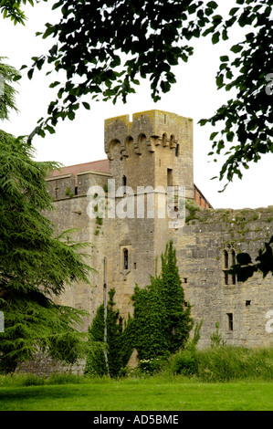 Caldicot Castle which dates from the 11th Century Norman period Caldicot Monmouthshire South East Wales UK Stock Photo