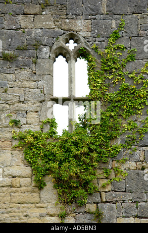 Ivy covered window at Caldicot Castle which dates from the 11th Century Norman period Caldicot Monmouthshire South East Wales UK Stock Photo