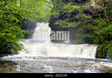 Lower Sgwd Ddwli waterfall on the Nedd Fechan river Pontneddfechan South Wales UK Stock Photo