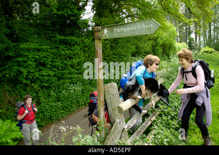 Walking group on footpath lifting dog over stile in countryside near Abergavenny Monmouthshire South Wales UK Stock Photo