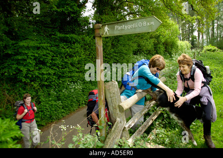 Walking group on footpath lifting dog over stile in countryside near Abergavenny Monmouthshire South Wales UK Stock Photo