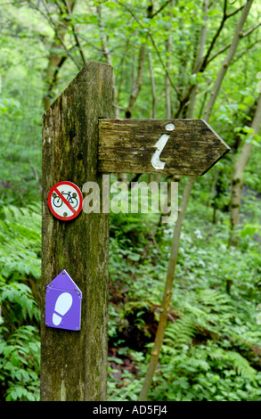 Fingerpost footpath direction sign in woodland on waterfall walk at Pontneddfechan South Wales UK Stock Photo