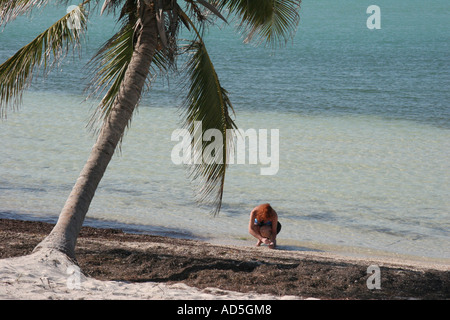 Woman with bright red hair finds treasures on the beach at Bahia Honda Key. Stock Photo