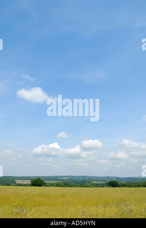 UK countryside blue sky with fluffly clouds Stock Photo - Alamy