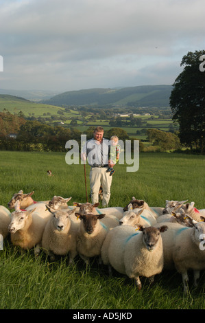 A welsh hill farmer and young son with flock of sheep standing in a field in the Ystwyth Valley near Aberystwyth Wales UK Stock Photo