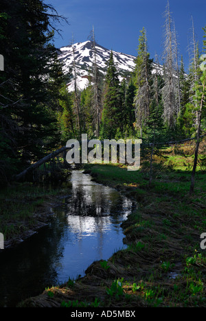 Mount Bachelor ski resort Oregon reflected in a small stream Stock Photo