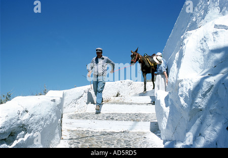 Donkey Handler walking down the Donkey Path Stock Photo