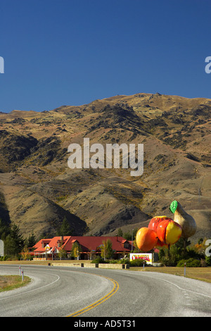 Road and Big Fruit Cromwell Central Otago South Island New Zealand Stock Photo