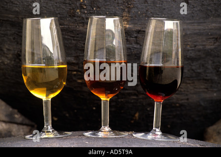 Gonzalez Byass Sherry is produced in southern Spain in the region of Jerez Stock Photo