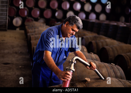 Gonzalez Byass Sherry is produced in southern Spain in the region of Jerez Stock Photo