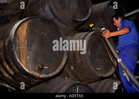 Sherry is produced in southern Spain in the region of Jerez Stock Photo