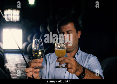 TSherry is produced in southern Spain in the region of Jerez Stock Photo