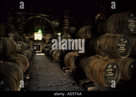 Sherry is produced in southern Spain in the region of Jerez Stock Photo