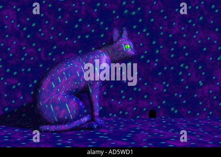 Psychedelic cat watching a mouse hole Stock Photo