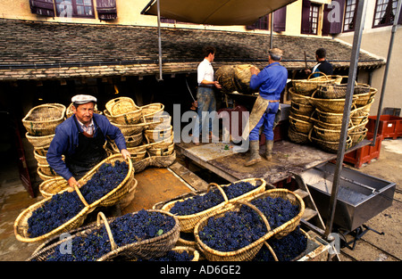 Bourgogne Aloxe Corton Cote de Nuits Nuits st Georg france wine french wine basket hamper traditional Wicker Bas Stock Photo